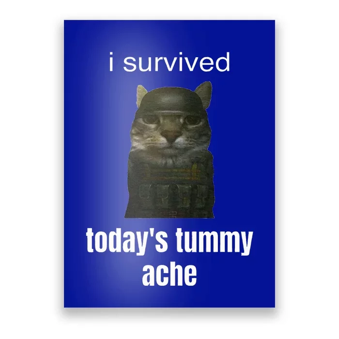 Funny I Survived TodayS Tummy Ache Poster