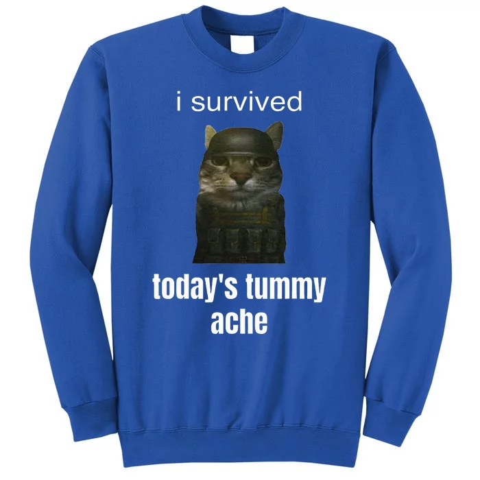 Funny I Survived TodayS Tummy Ache Tall Sweatshirt