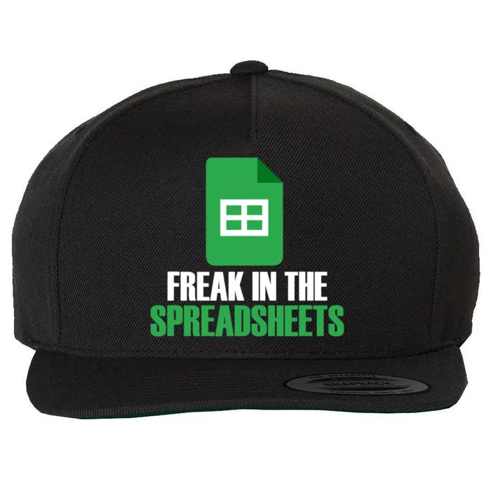 Freak In Spreadsheets Excel Accountant Accounting Wool Snapback Cap