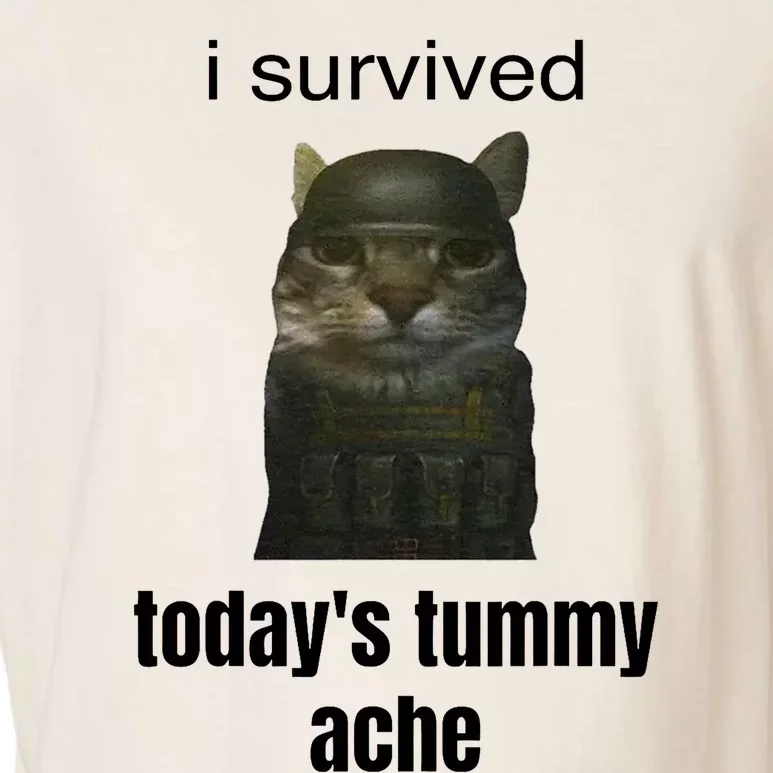 Funny I Survived TodayS Tummy Ache Garment-Dyed Women's Muscle Tee