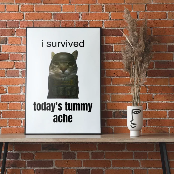 Funny I Survived TodayS Tummy Ache Poster