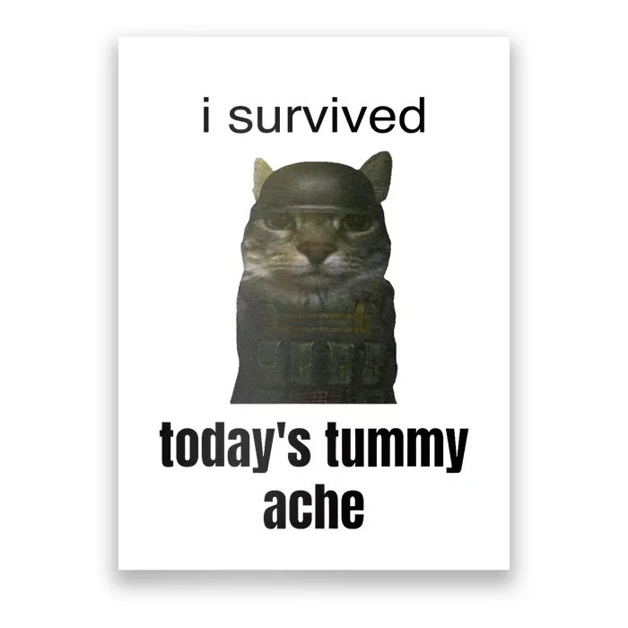 Funny I Survived TodayS Tummy Ache Poster