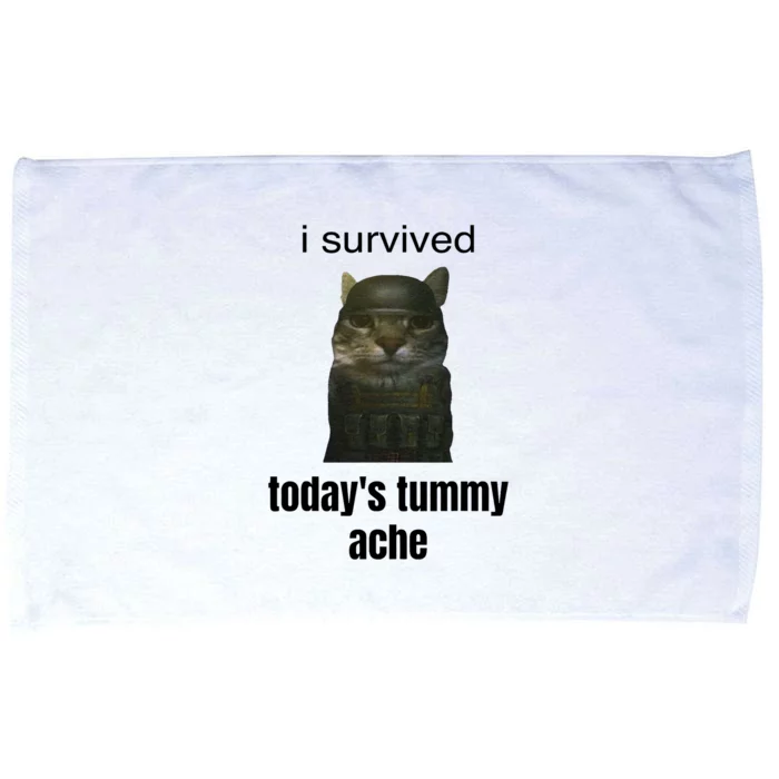 Funny I Survived TodayS Tummy Ache Microfiber Hand Towel