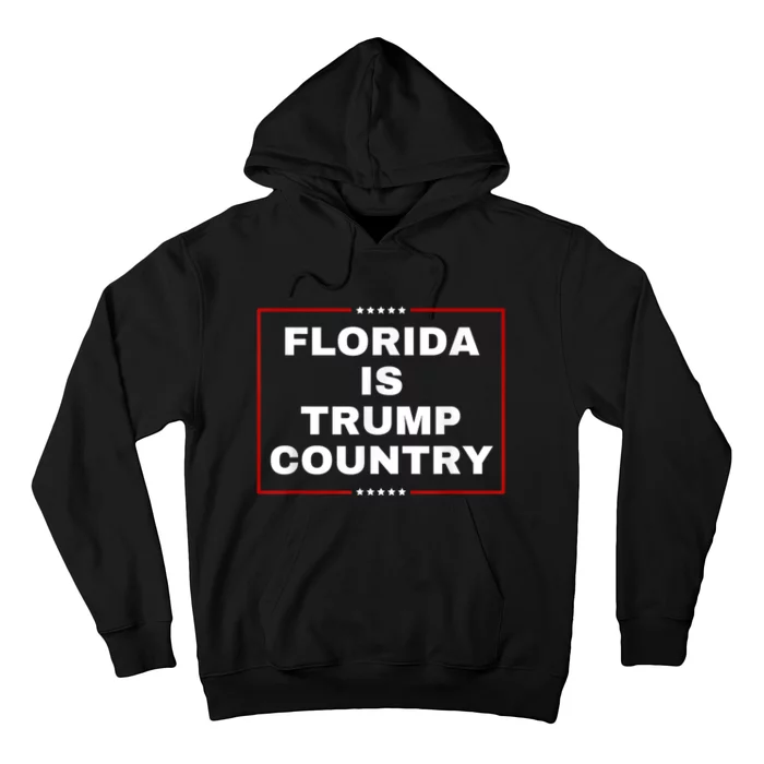 Florida Is Trump Country Take America Back 2024 Election Hoodie