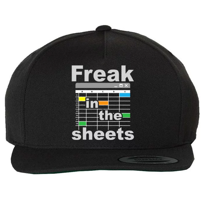 Freak In The Sheets Funny Accountant Analyst Secretary Wool Snapback Cap