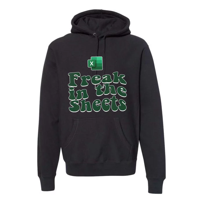 Freak In The Sheets Funny Accountant Excel Premium Hoodie