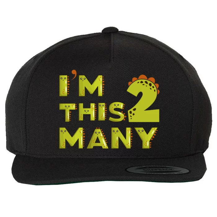 Funny Im This Many 2nd Birthday Dinosaur Gift Wool Snapback Cap