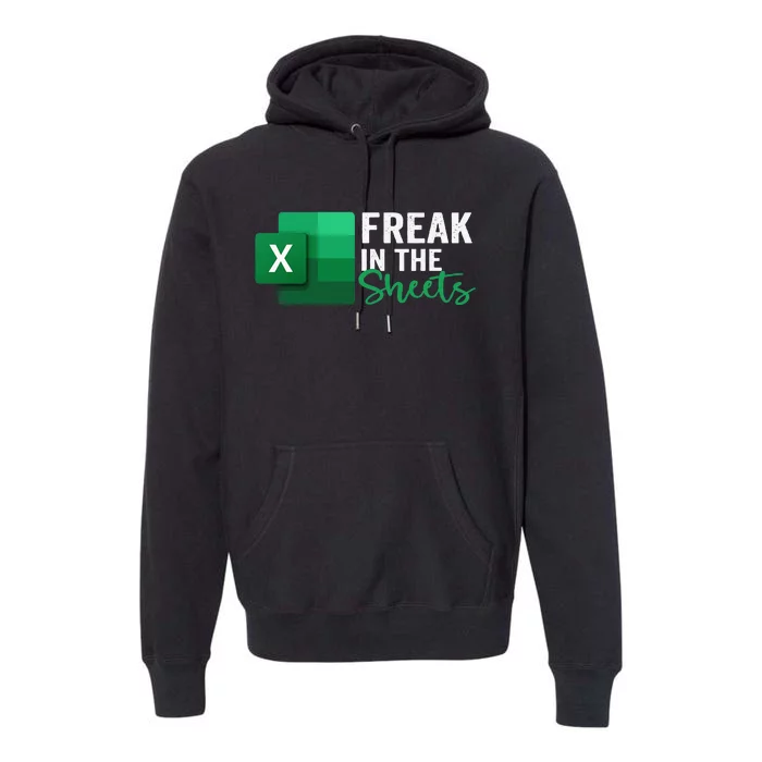 Freak In The Sheets Accountant Funny Spreadsheet Excel Premium Hoodie