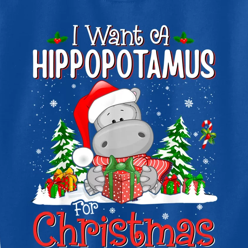 Funny I Want A Hippopotamus For Christmas Xmas Hippo Cool Gift Kids Sweatshirt