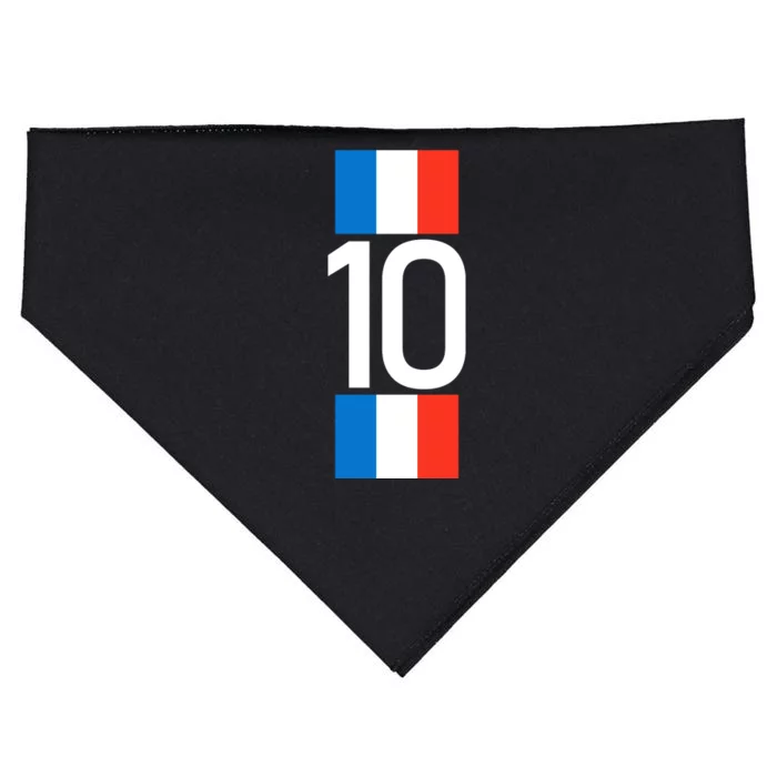 France Jersey 10 French Football Soccer USA-Made Doggie Bandana