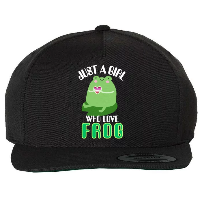 Frog Just A Girl Who Loves Frogs Funny Frog Lover Gift Wool Snapback Cap