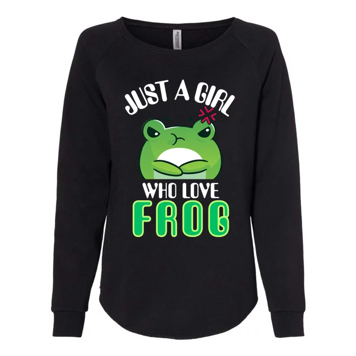 Frog Just A Girl Who Loves Frogs Funny Frog Lover Gift Womens California Wash Sweatshirt