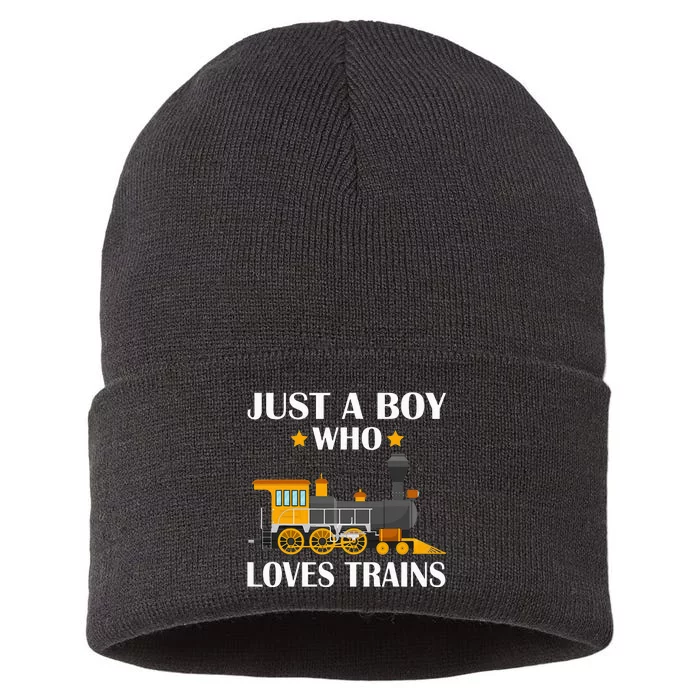 Funny Just A Who Loves Trains This Loves Trains Sustainable Knit Beanie