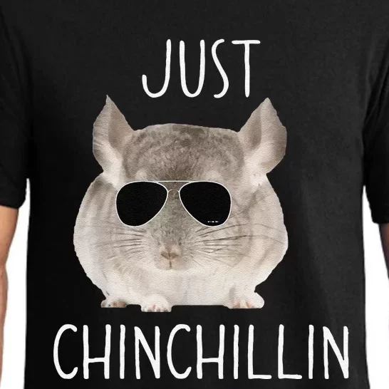 Funny Just Chinchillin Chinchilla Bro Relaxing Chillin Pajama Set