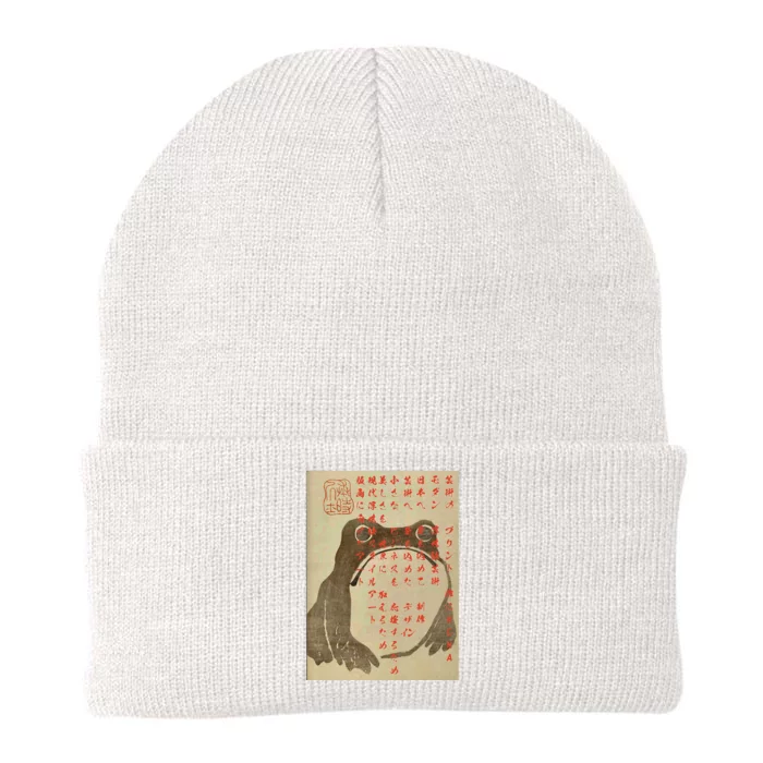 Funny Japanese Frog Art Ukiyoe Knit Cap Winter Beanie