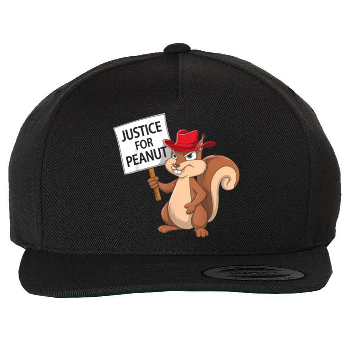 Funny Justice For Peanut Pnut Squirrel Pnut Justice Wool Snapback Cap