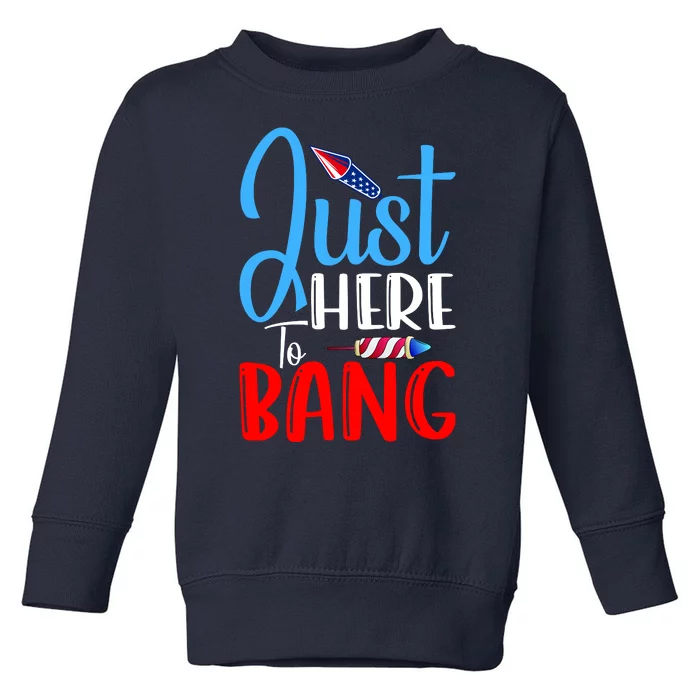 Funny Just Here To Bang Funny 4th Of July USA Merica America Toddler Sweatshirt