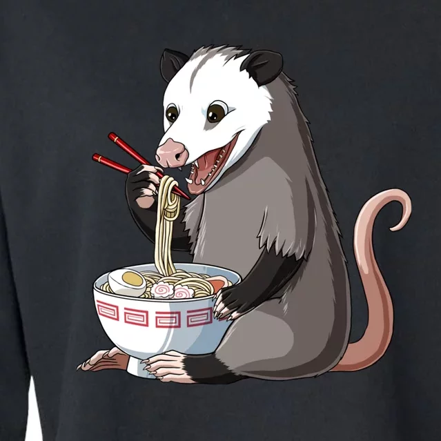 Funny Japanese Kawaii Ra Opossum Cropped Pullover Crew