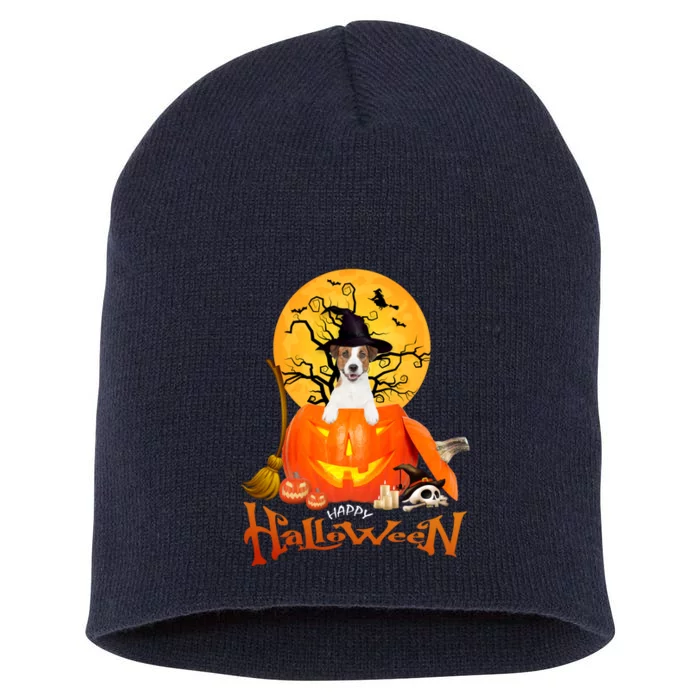 Funny Jack Russell Spooky Halloween Short Acrylic Beanie