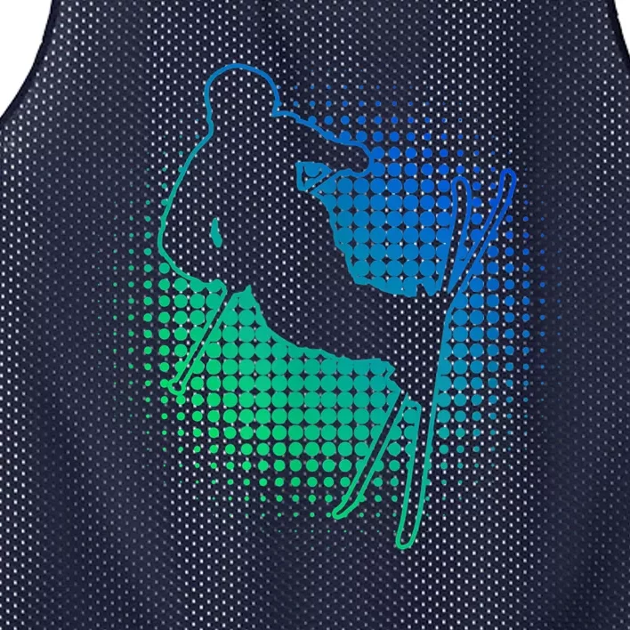 Freestyle Jumping Wo's 'S Ski Mesh Reversible Basketball Jersey Tank