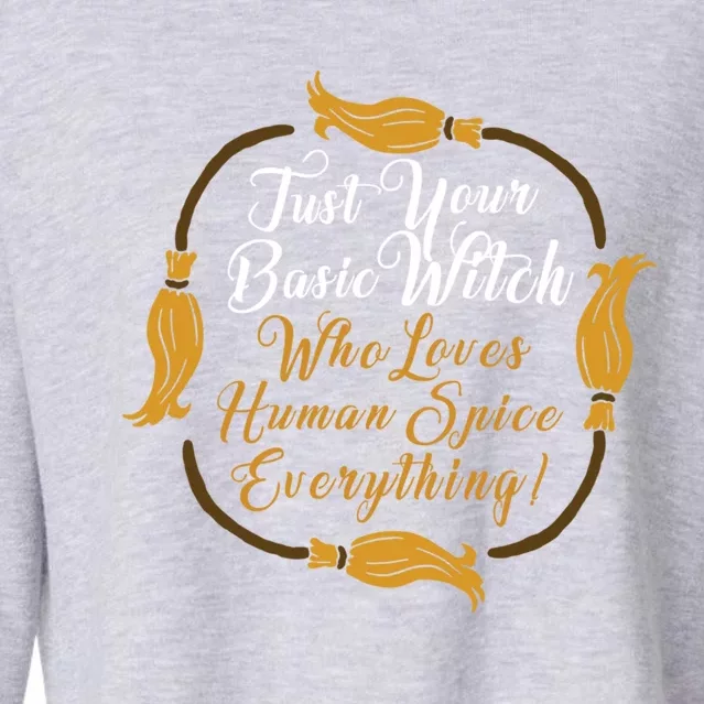 Funny Just Your Basic Witch Who Loves Everything Hu Spice Gift Cropped Pullover Crew