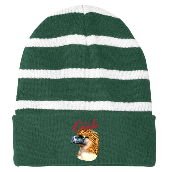 Fly Like An Eagle Striped Beanie with Solid Band