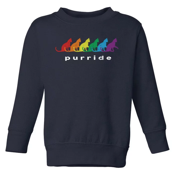 Funny LGBT Cat Rainbow Purride Picture Art Toddler Sweatshirt