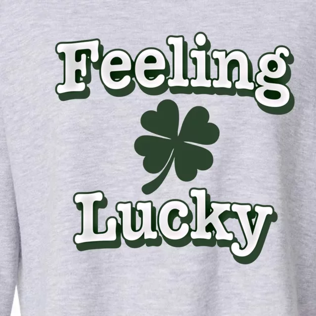 Feeling Lucky Clover Graphic Gift Cropped Pullover Crew