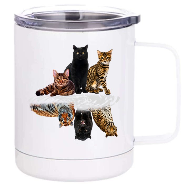 Funny Little Cats Big Cats Front & Back 12oz Stainless Steel Tumbler Cup