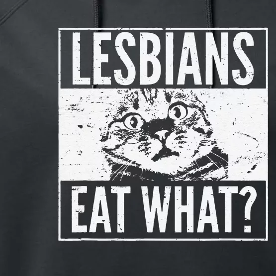 Funny Lesbians Eat What Cat Kitten LGBT Humor Performance Fleece Hoodie