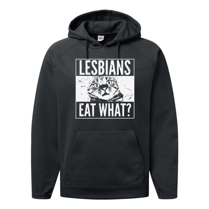 Funny Lesbians Eat What Cat Kitten LGBT Humor Performance Fleece Hoodie