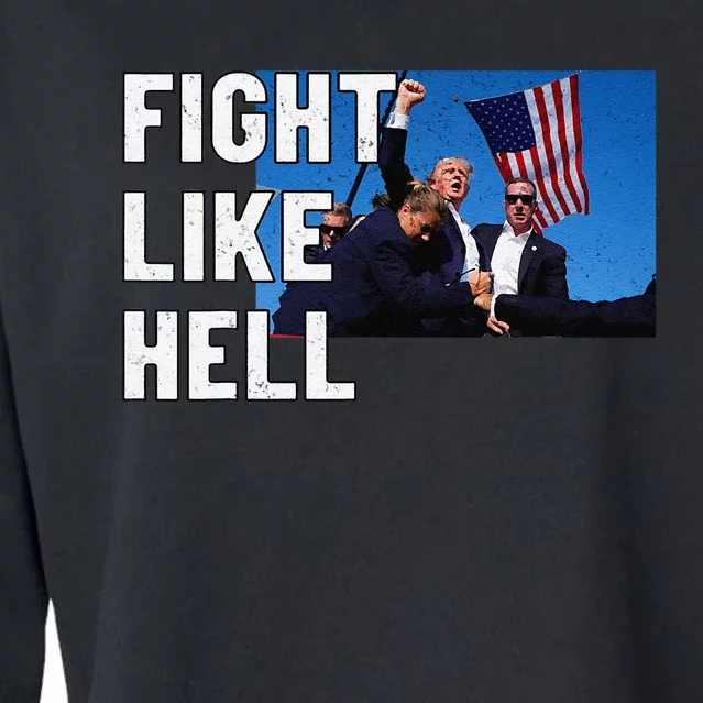 Fight Like Hell Trump 2024 Cropped Pullover Crew