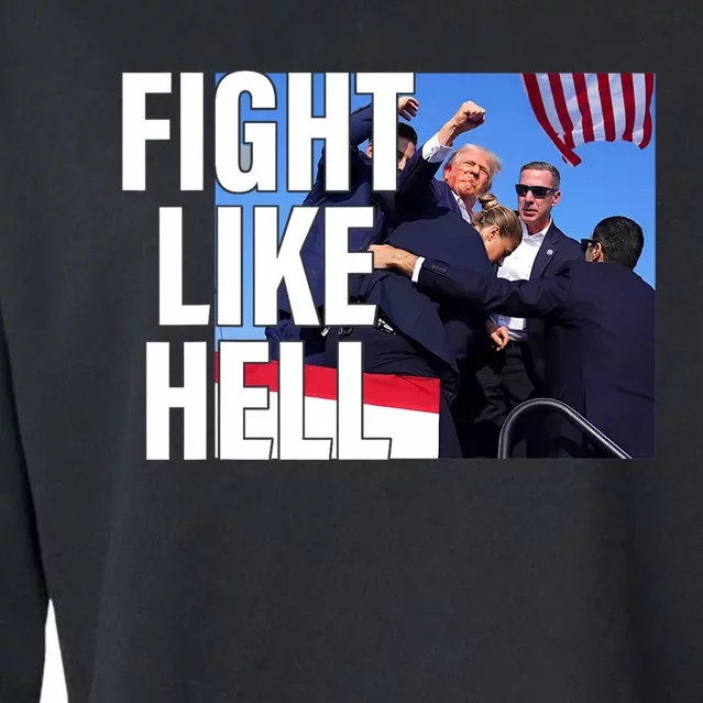 Fight Like Hell Trump 2024 Cropped Pullover Crew