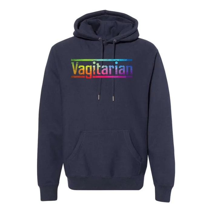 Funny Lesbian Lgbt Pride Month Gay Couple Premium Hoodie