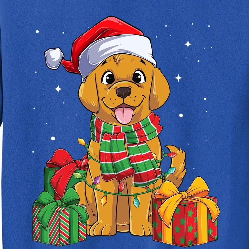 Funny Labrador Retriever Christmas Lights Xmas Lab Dog Lover Great Gift Tall Sweatshirt