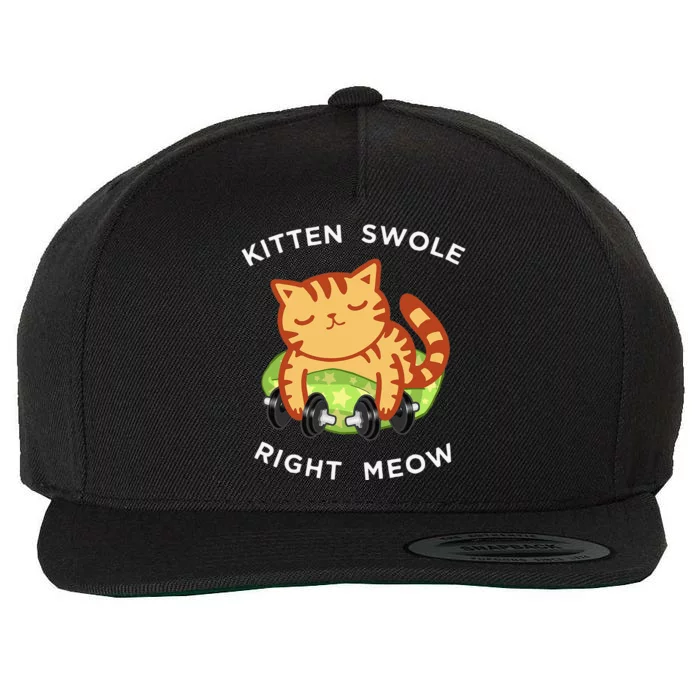 Funny Lifting Right Meow Cat Workout Gym Kitty Tee Wool Snapback Cap