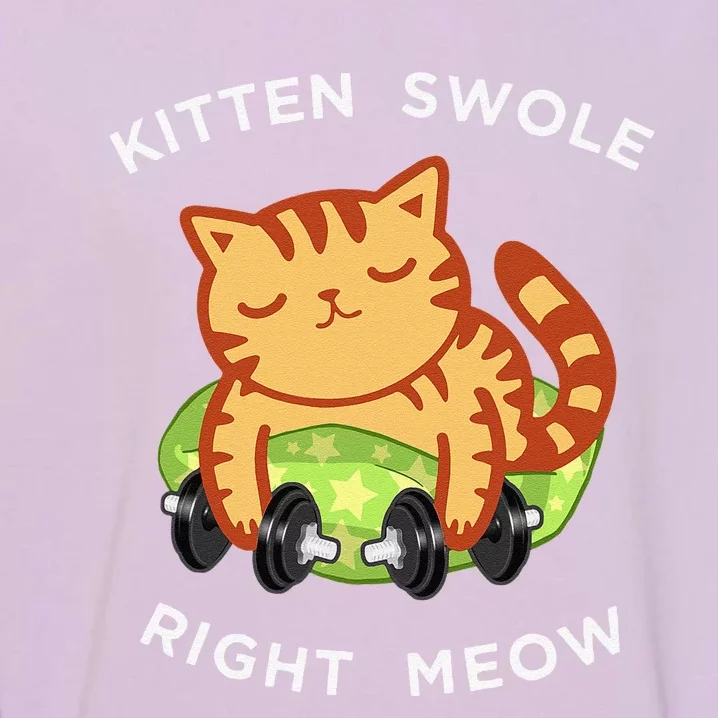 Funny Lifting Right Meow Cat Workout Gym Kitty Tee Garment-Dyed Sweatshirt