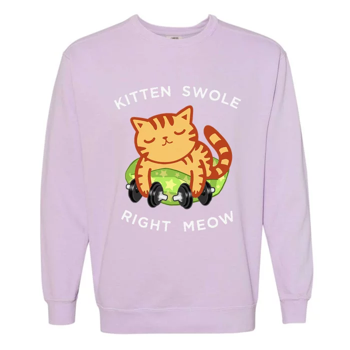 Funny Lifting Right Meow Cat Workout Gym Kitty Tee Garment-Dyed Sweatshirt