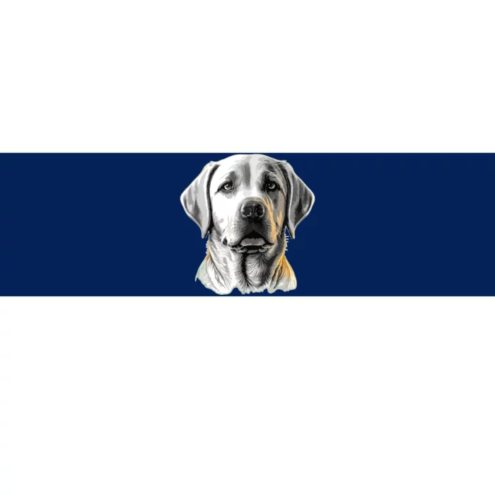 Funny Labrador Retriever Cute Labrador And Dog Breed Bumper Sticker