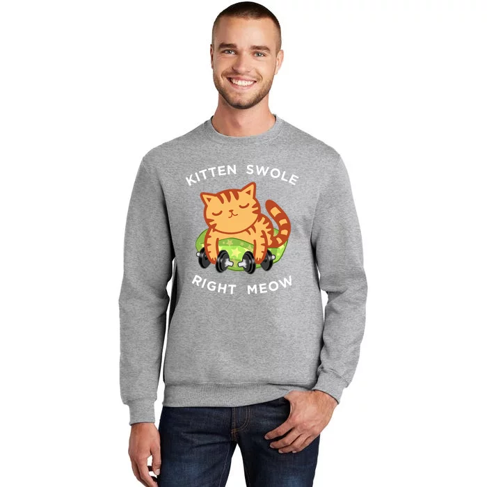 Funny Lifting Right Meow Cat, Workout Gym Tall Sweatshirt