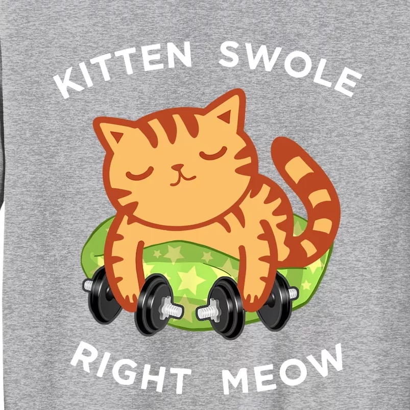 Funny Lifting Right Meow Cat, Workout Gym Tall Sweatshirt