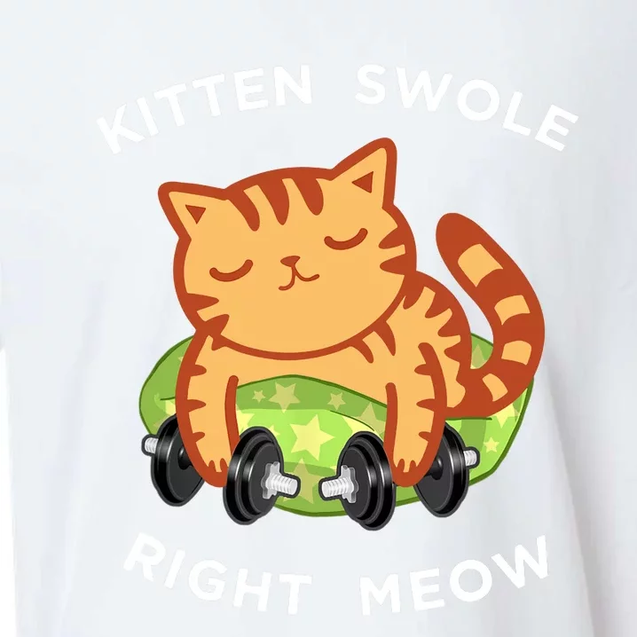 Funny Lifting Right Meow Cat, Workout Gym Sueded Cloud Jersey T-Shirt