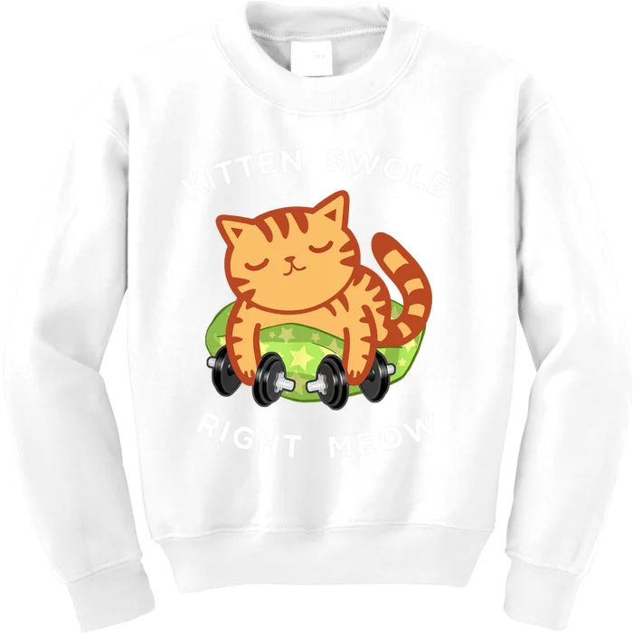 Funny Lifting Right Meow Cat, Workout Gym Kids Sweatshirt