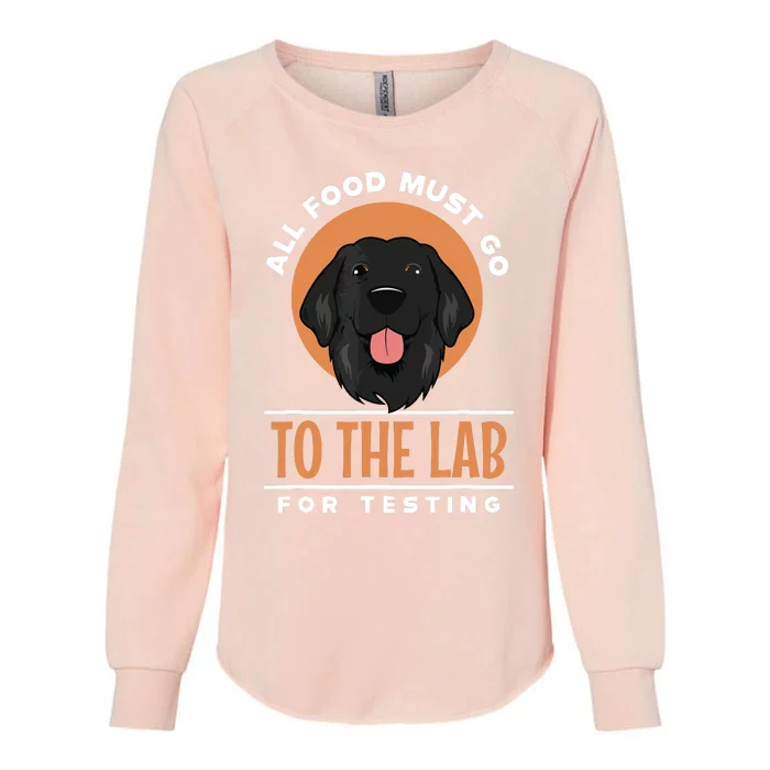 Funny Labrador Retriever Black Lab Fetch Dog Pet Lover Gifts Womens California Wash Sweatshirt