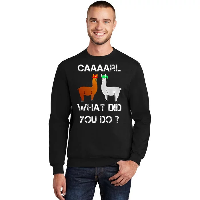 funny llama with hats lama with hat carl what did you do Sweatshirt