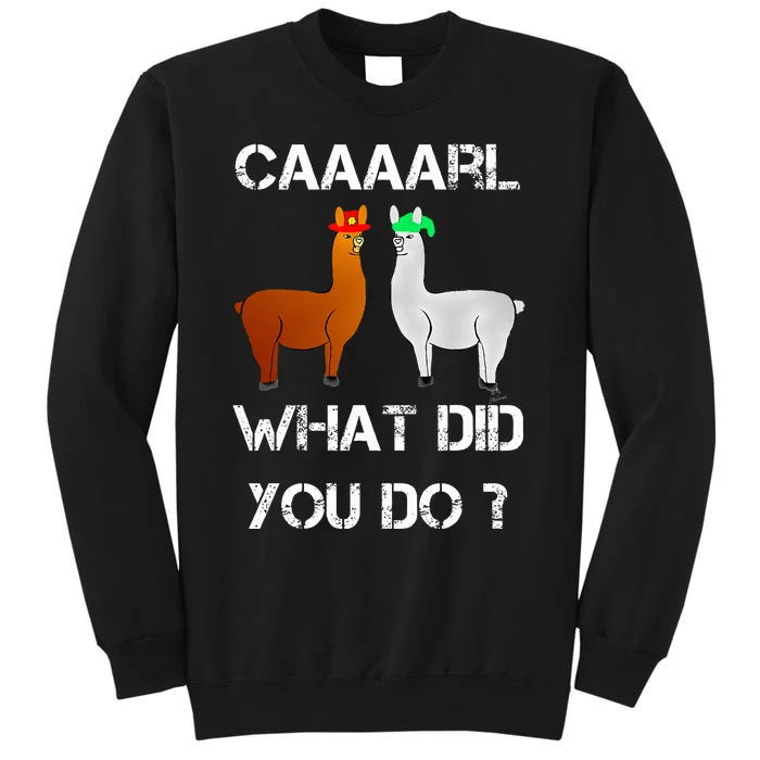 funny llama with hats lama with hat carl what did you do Sweatshirt