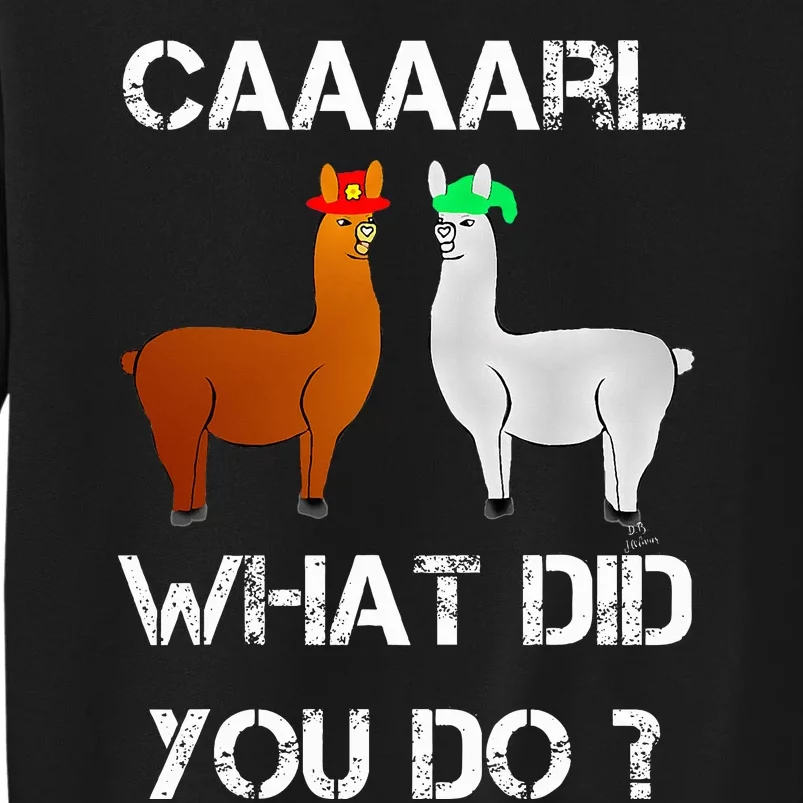 funny llama with hats lama with hat carl what did you do Tall Sweatshirt