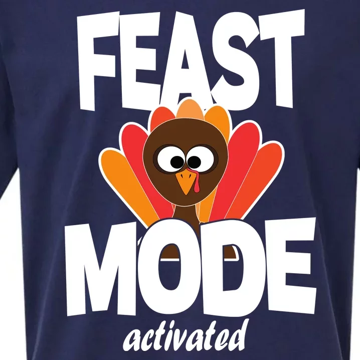 Fast Mode Activated Thanksgiving Sueded Cloud Jersey T-Shirt