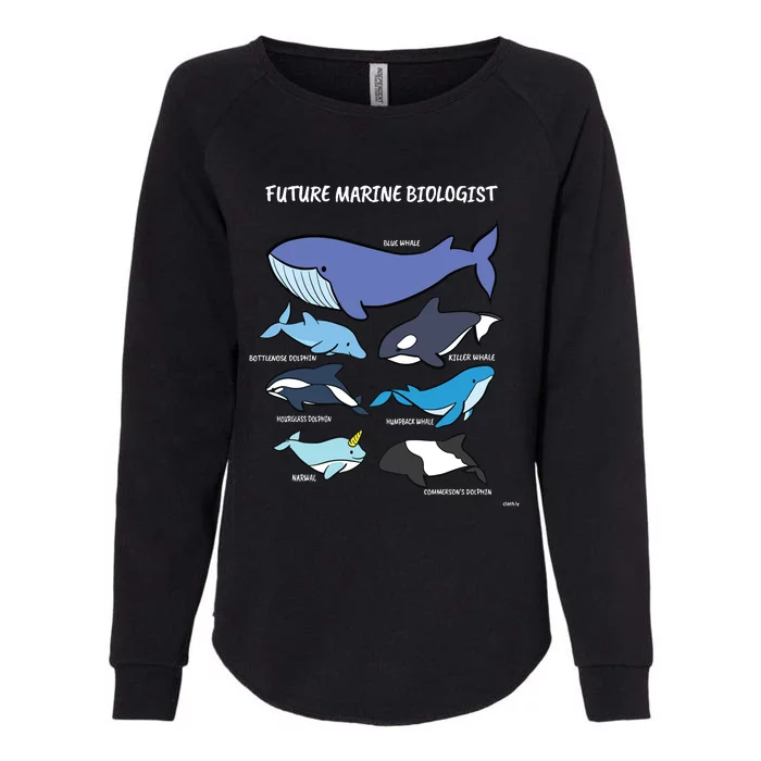 Future Marine Biologist Types Of Whales And Dolphins Whale Womens California Wash Sweatshirt