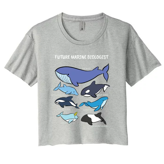 Future Marine Biologist Types Of Whales And Dolphins Whale Women's Crop Top Tee